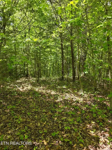 Crestwood Drive, Speedwell, TN 37870