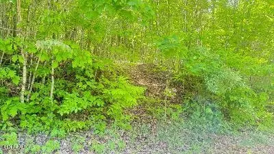 Crestwood Drive, Speedwell, TN 37870