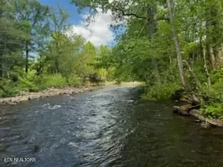Riverview Rd, Townsend, TN 37882