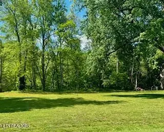 Riverview Rd, Townsend, TN 37882
