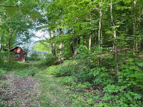 s rogers south rd, Seymour, TN 37865