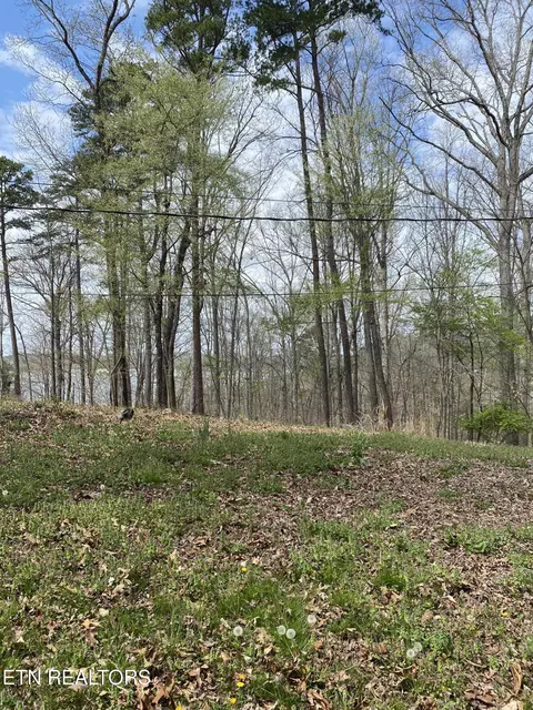 lot429 Mayflower Ln, Dandridge, TN 37725