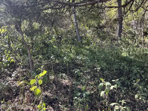 - - - - - Moore Ln, Powell, TN 37849 photo 2