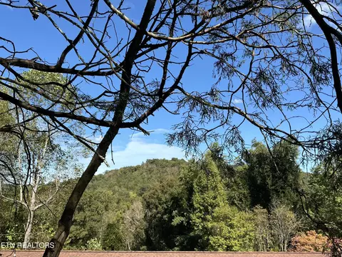 - - - - - Moore Ln, Powell, TN 37849 photo 6