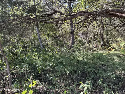 - - - - - Moore Ln, Powell, TN 37849 photo 5