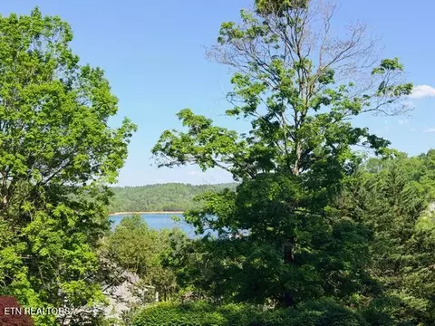 Shanghai Lake Lane, La Follette, TN 37766