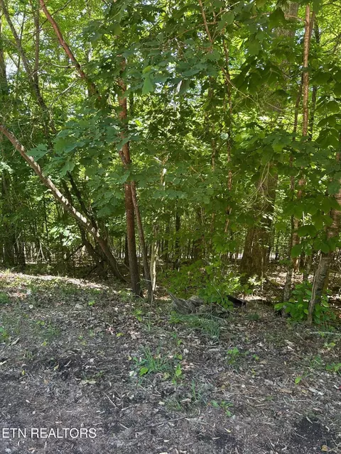 lot63 Stoney Rock Ln, Jacksboro, TN 37757