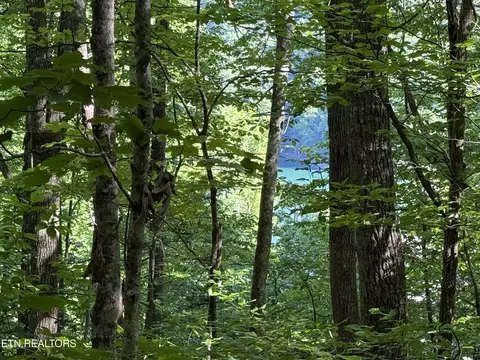 lot74 Norris Shores Dr, Sharps Chapel, TN 37866