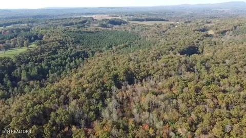 42 Acres Dogwood Rd, Grandview, TN 37337