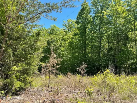 Rob Watson Rd, Oneida, TN 37841 photo 5