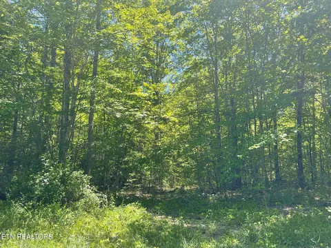 Rob Watson Rd, Oneida, TN 37841 photo 2