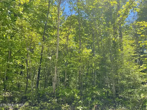 Rob Watson Rd, Oneida, TN 37841 photo 3