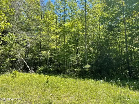 Rob Watson Rd, Oneida, TN 37841 photo 4