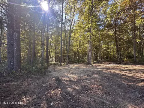 18 6 Ac Cave Branch Rd, Allardt, TN 38504