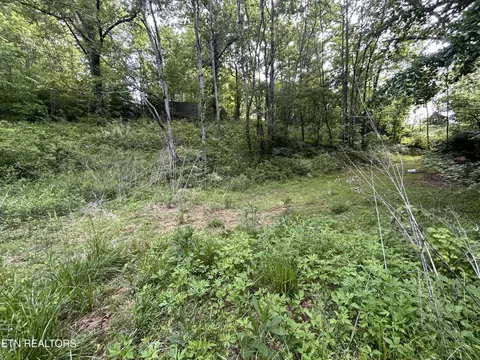 lot32 Ernie Roberts Rd, Rutledge, TN 37861
