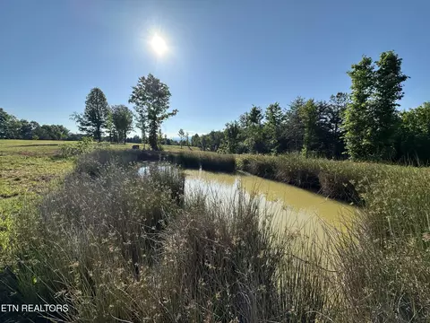 lot7 Curtis Rd, Tellico Plains, TN 37385