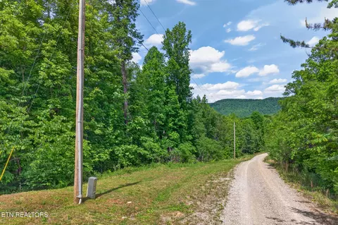 W Bobcat Lane Lane, Wilder, TN 38589