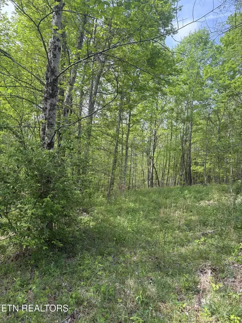 157 Casteel Rd, Sparta, TN 38583
