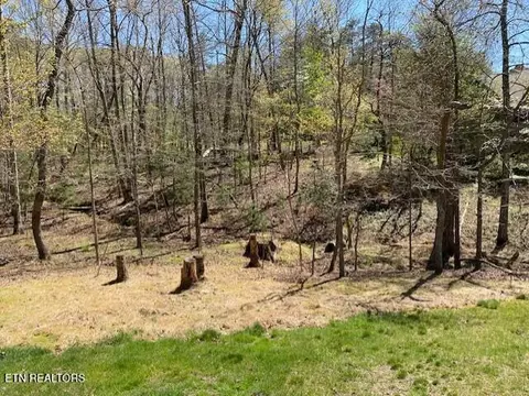 Mariners Point, Fairfield Glade, TN 38558