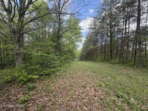 0 Scott Hwy, Helenwood, TN 37755