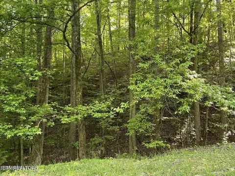 336-342 Omega Drive Dr, Spring City, TN 37381
