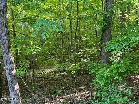 373-375 Beta Drive Dr, Spring City, TN 37381