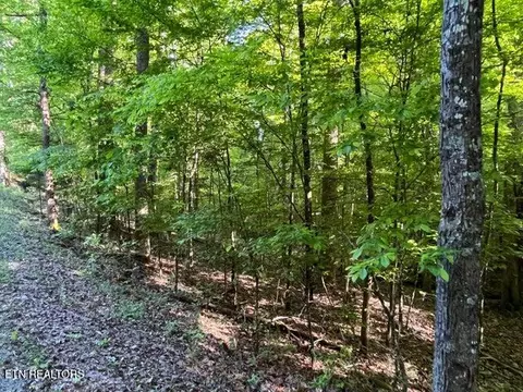 328-329 Omega Drive Dr, Spring City, TN 37381