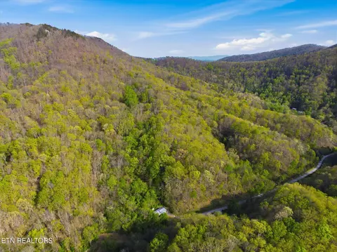 Undisclosed, Luttrell, TN 37779 photo 6