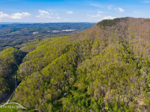 Undisclosed, Luttrell, TN 37779 photo 12