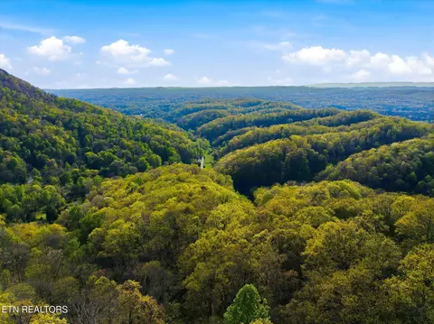 Undisclosed, Luttrell, TN 37779 photo 3