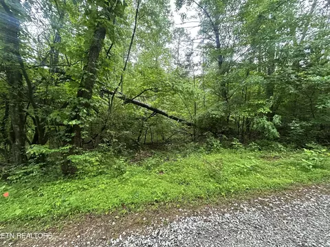 lot105 108 Settlers Rd, Harriman, TN 37748