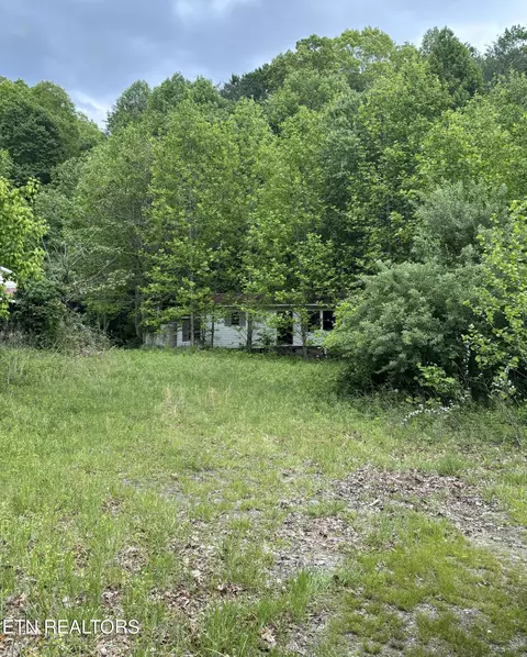 307 Huckleberry Ln, Duff, TN 37729