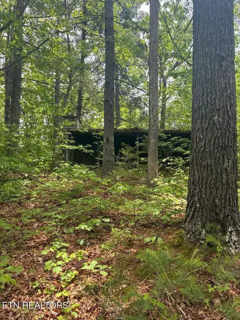 Mount Pleasant Rd, Vonore, TN 37885