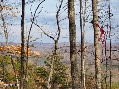 Bull Creek Rd S/0, Huntsville, TN 37756