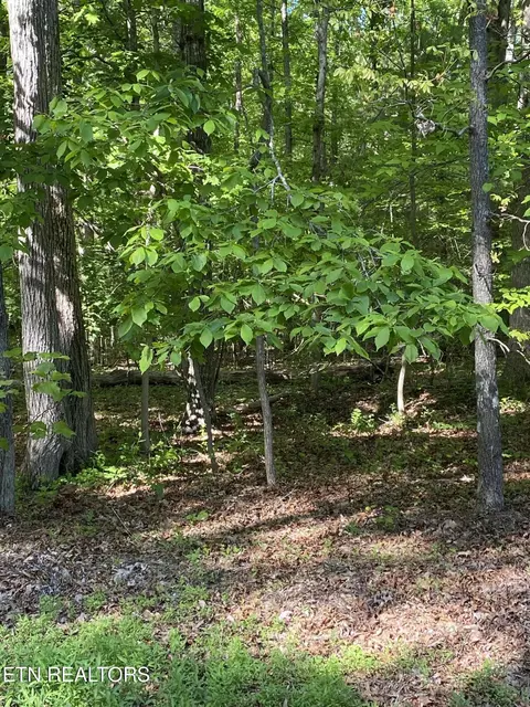 4035 Kila, Crossville, TN 38572