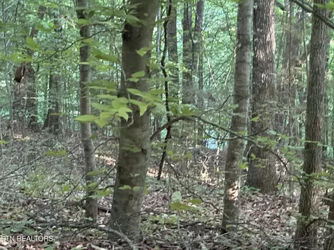 Cassies Xing, Speedwell, TN 37870