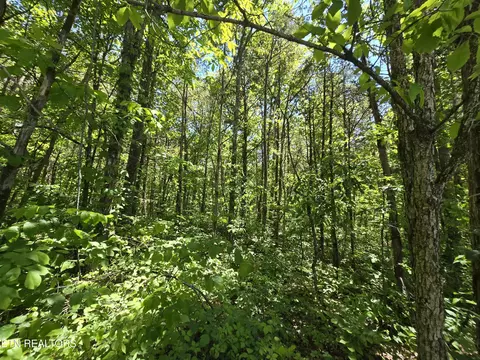 0 Hershell Dr, Pennington Gap, VA 24277 photo 4