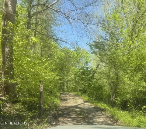 Anna Ln, Clairfield, TN 37715