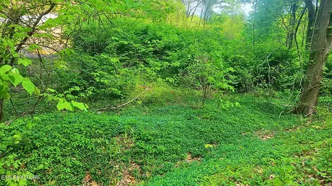 0 Arbon Dr #66, Gatlinburg, TN 37738