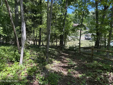 E Shore Drive, Rockwood, TN 37854