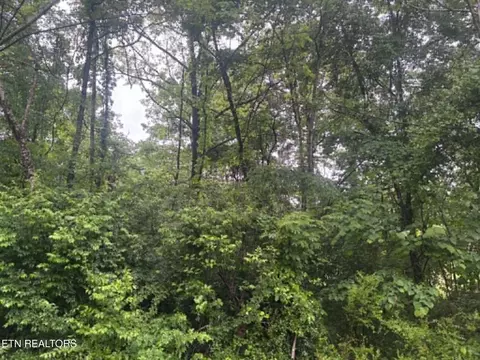 Brogan Lane, Tazewell, TN 37879