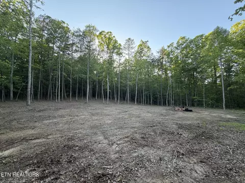 Long Branch Court, Allardt, TN 38504