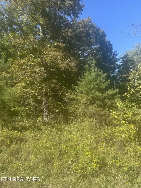 Timothy Drive, Crossville, TN 38572