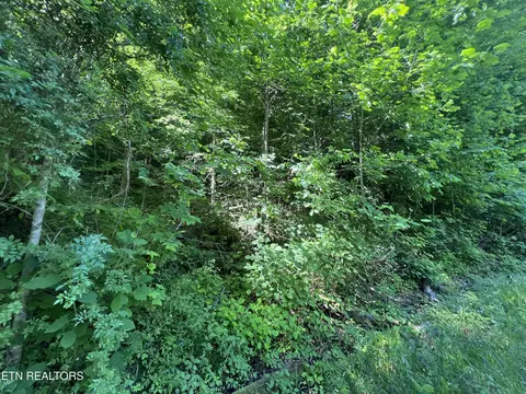 Apache Rd, Jamestown, TN 38556 photo 2