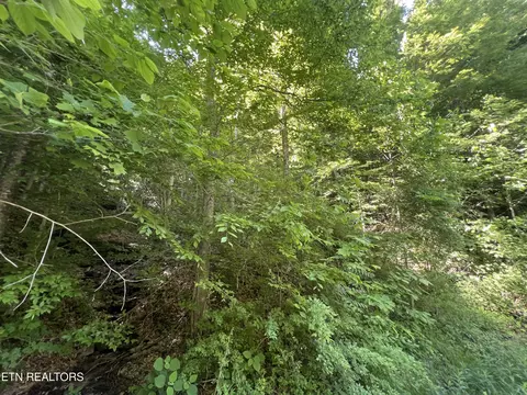 Apache Rd, Jamestown, TN 38556 photo 8