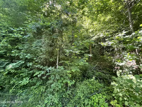 Apache Rd, Jamestown, TN 38556 photo 4