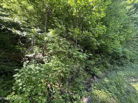 Apache Rd, Jamestown, TN 38556 photo 6