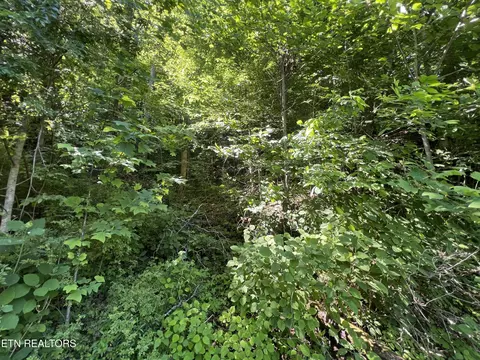Apache Rd, Jamestown, TN 38556 photo 5