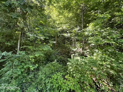 Apache Rd, Jamestown, TN 38556 photo 3
