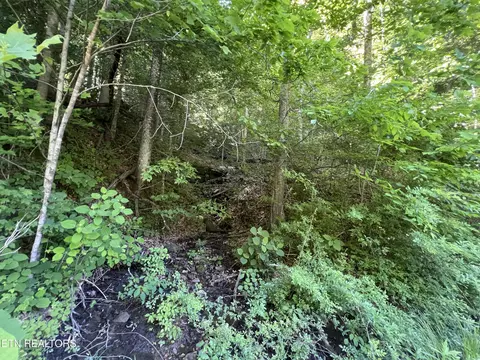 Apache Rd, Jamestown, TN 38556 photo 7